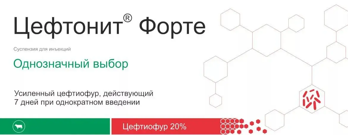 Цефтонит 100 мл