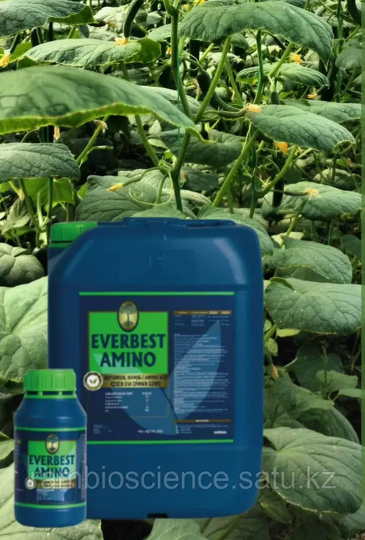 Жидкое удобрение EVERBEST AMINO(эвербест амино)
