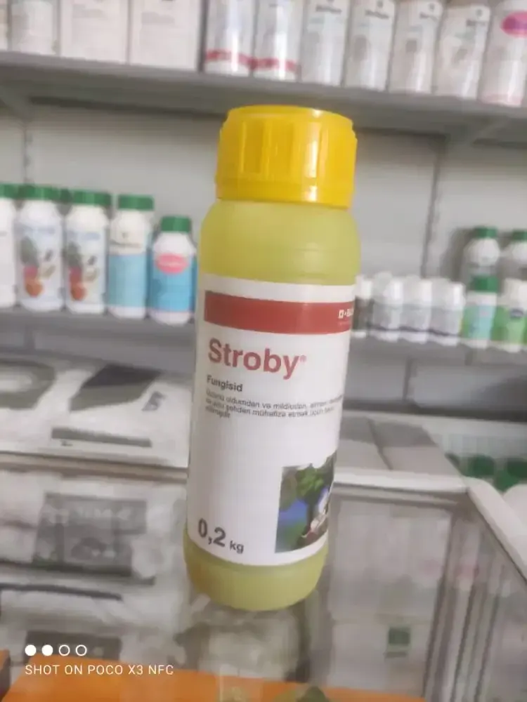 Фунгицид Stroby, 0.2 кг.