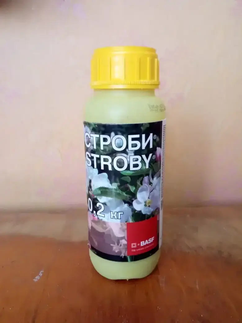 Фунгицид Stroby, 0.2 кг., BASF