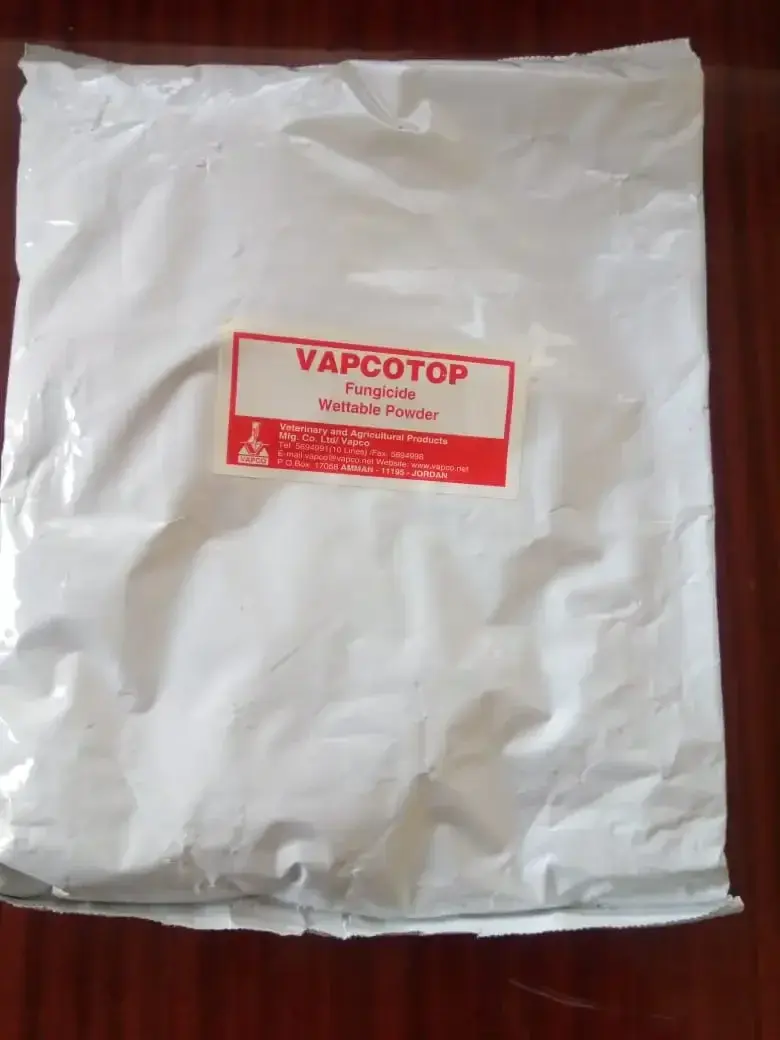 Фунгицид VAPCOTOP 70 %