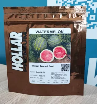 Rapid F1 Hollar Premium США