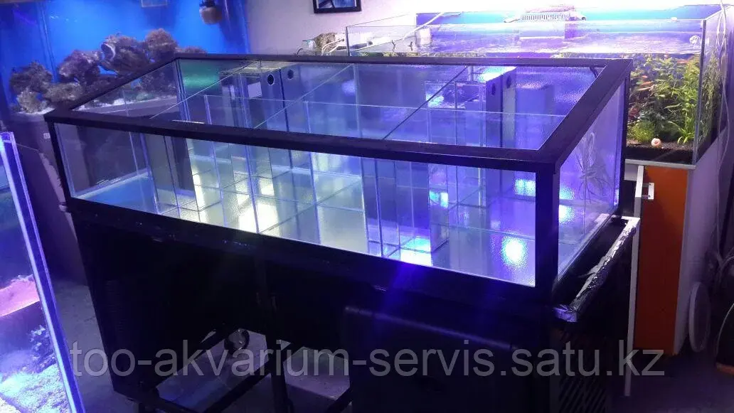Изготовление витрин для торговли живой рыбой и морепродуктами в Казахстане