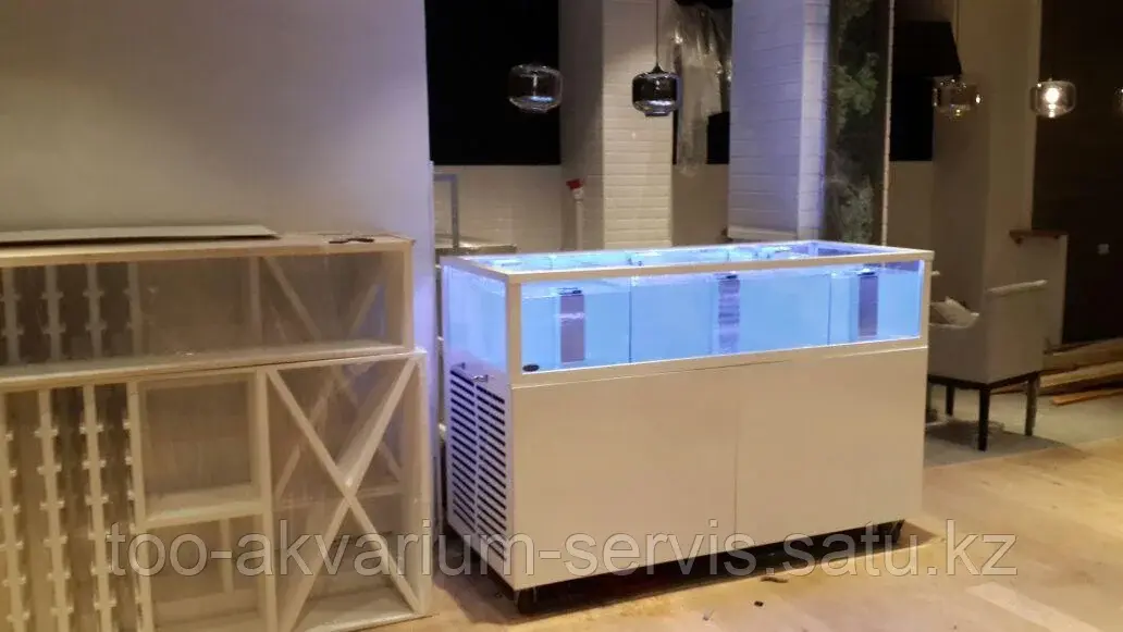 Данио глофиш
