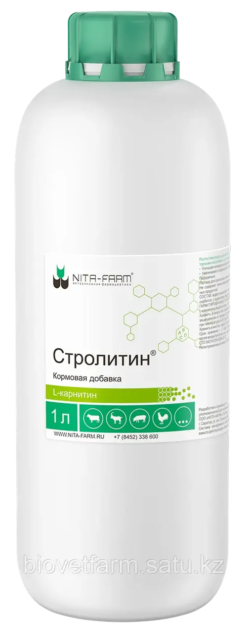 Стролитин 1л