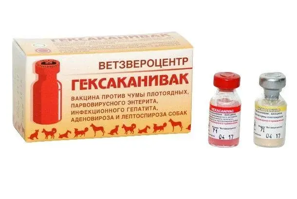 Вакцина Гексаканивак Код: 225 Под заказ.