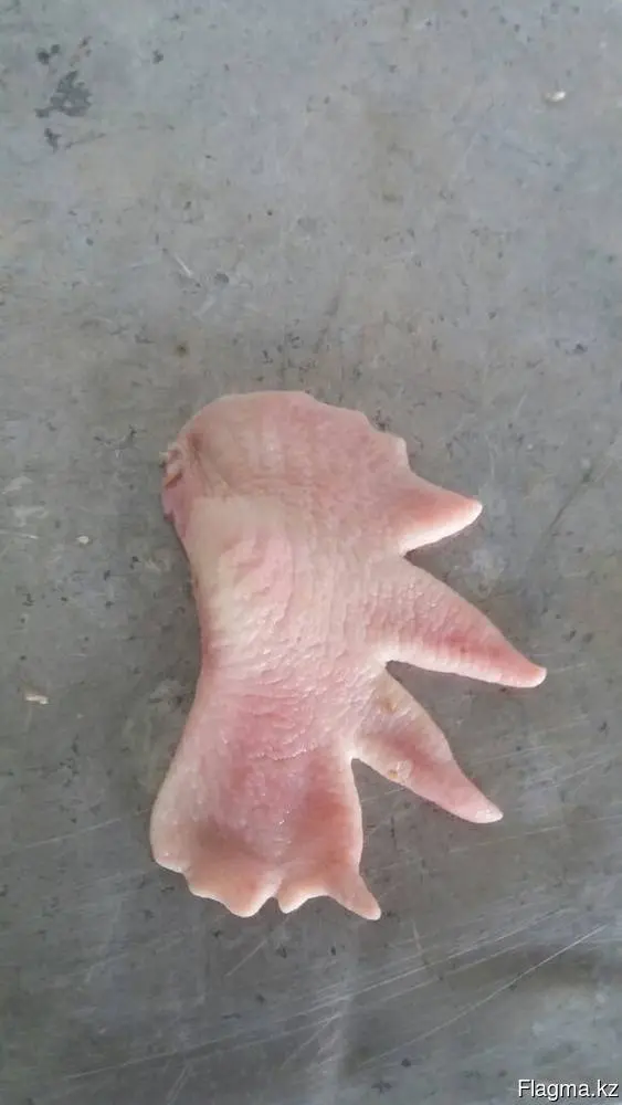 Гребни куриные