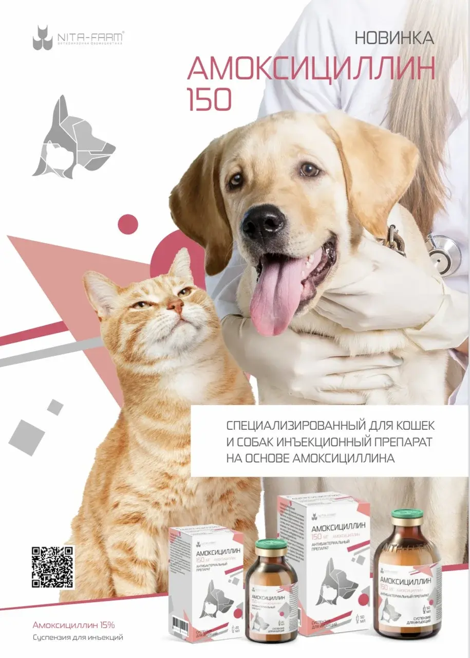 Амоксициллин 150, 50 мл Pet для кошек и собак