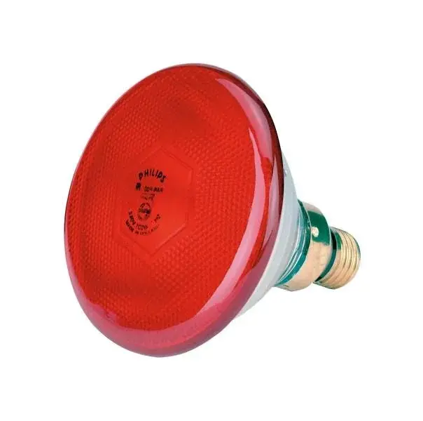 Лампочка для теплоизлучающих приборов Philips 175 Вт красная Код: 22303
