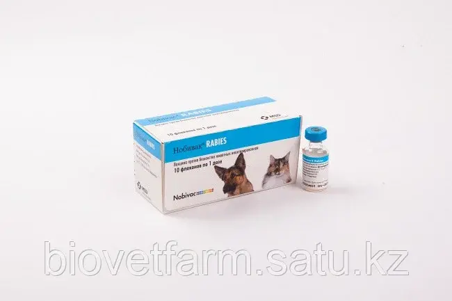 Нобивак Rabies