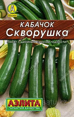 Кабачок Скворушка Аэлита
