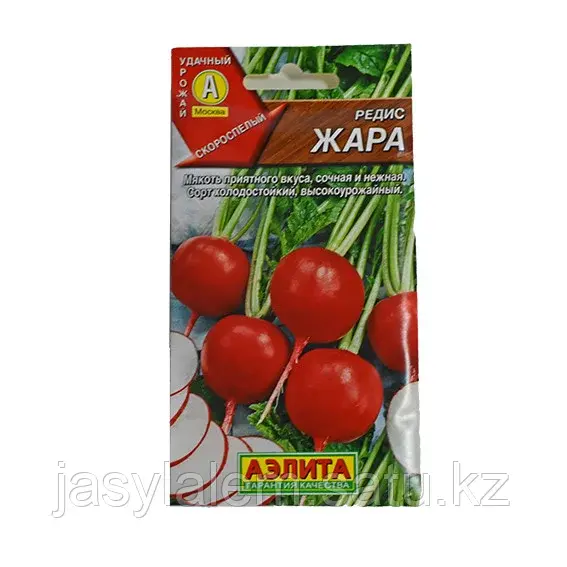 Редис Жара Аэлита