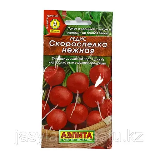 Редис Скороспелка Нежная Аэлита