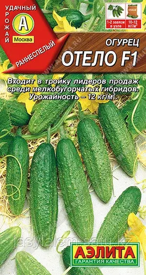 Огурец Отело Аэлита