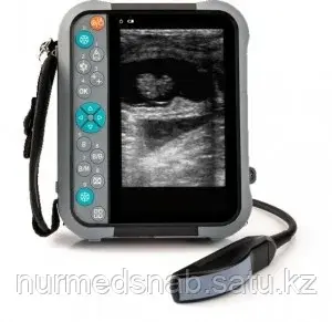 Портативный влагозащищенный ветеринарный УЗИ сканер VT880a
