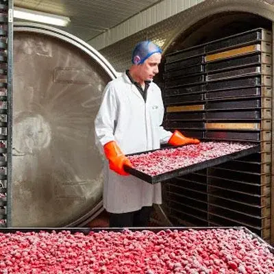 Сублимация